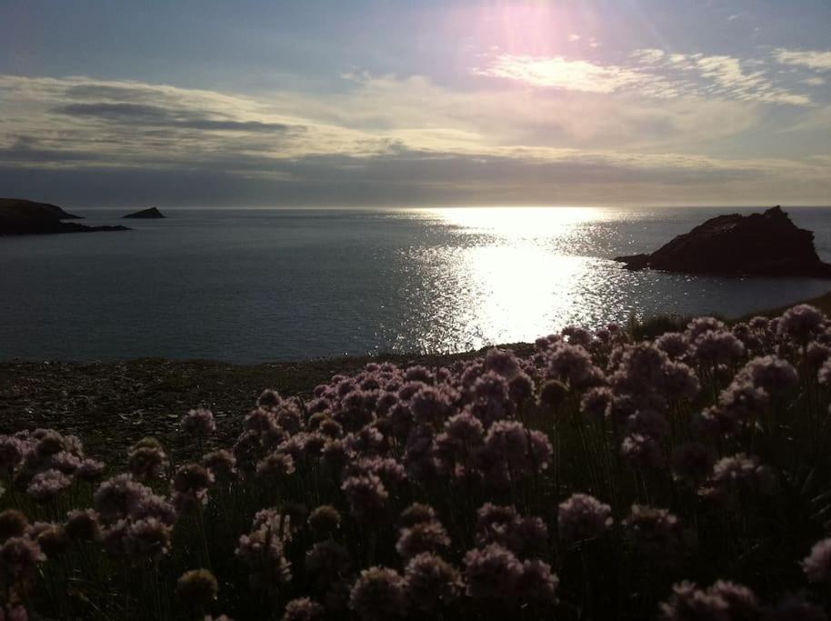 Wonderful House Just 250m From The Sea Holiday home Newquay (Cornwall)